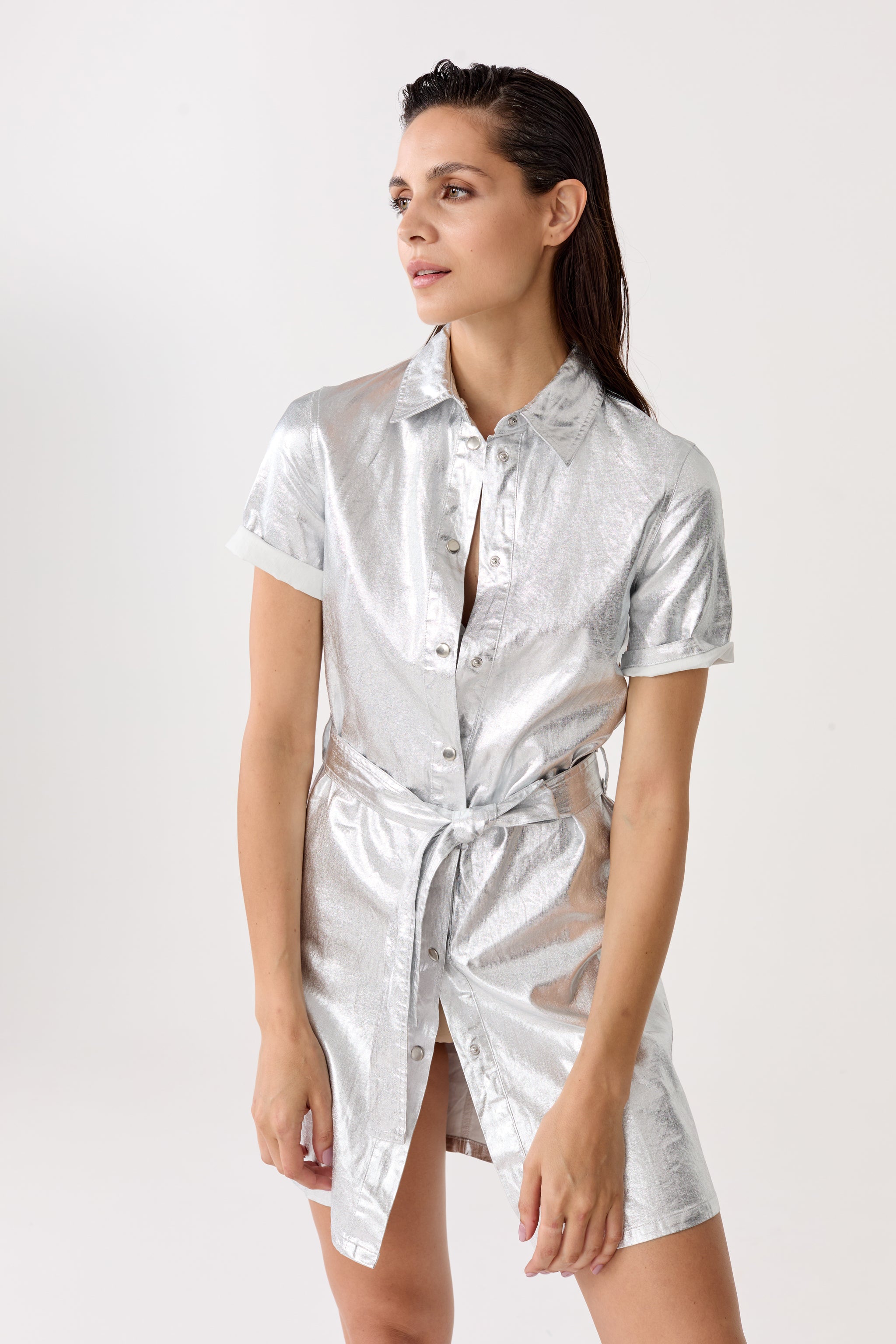 Lanhtropy Franca Metallic Linen Dress