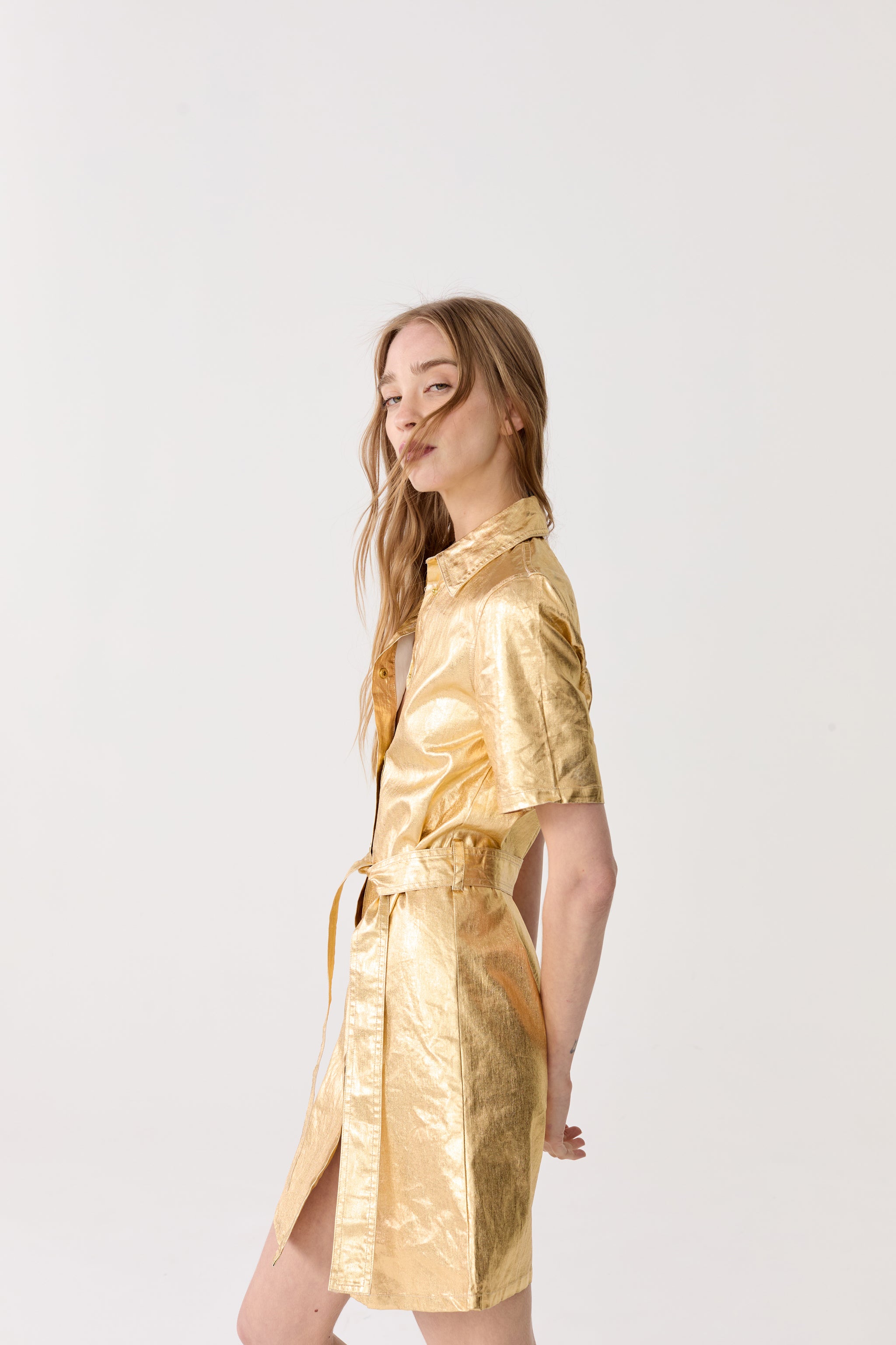 Franca Metallic Linen Dress