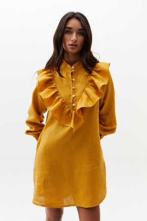 
                  
                    Circus Dress - Mustard
                  
                