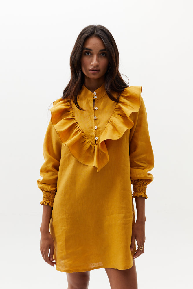 
                  
                    Circus Dress - Mustard
                  
                