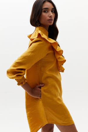 
                  
                    Circus Dress - Mustard
                  
                